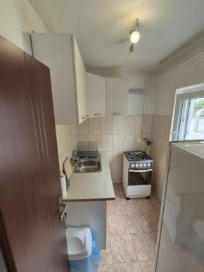 Muntean Apartment